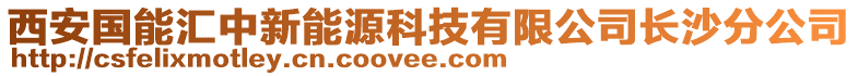 西安國能匯中新能源科技有限公司長沙分公司