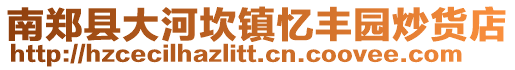 南鄭縣大河坎鎮憶豐園炒貨店