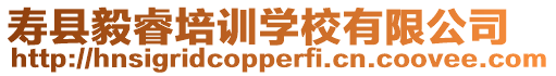 壽縣毅睿培訓學校有限公司