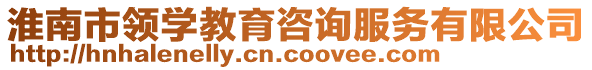 淮南市領學教育咨詢服務有限公司
