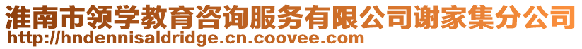淮南市領學教育咨詢服務有限公司謝家集分公司