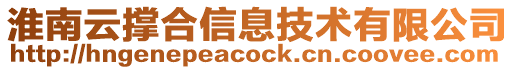 淮南云撐合信息技術有限公司