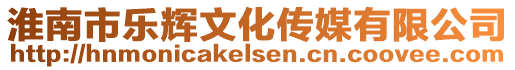 淮南市樂輝文化傳媒有限公司