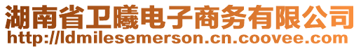 湖南省衛曦電子商務有限公司