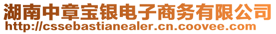 湖南中章寶銀電子商務有限公司