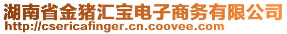 湖南省金豬匯寶電子商務(wù)有限公司