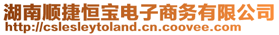 湖南順捷恒寶電子商務有限公司