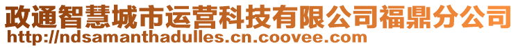 政通智慧城市運營科技有限公司福鼎分公司