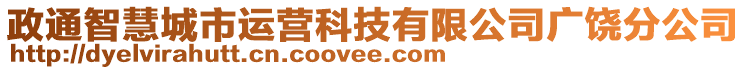 政通智慧城市運(yùn)營科技有限公司廣饒分公司