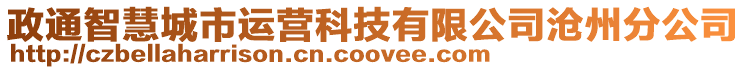 政通智慧城市運(yùn)營(yíng)科技有限公司滄州分公司