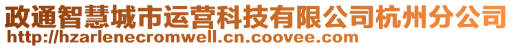 政通智慧城市運營科技有限公司杭州分公司