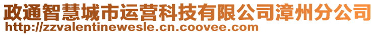 政通智慧城市運(yùn)營(yíng)科技有限公司漳州分公司