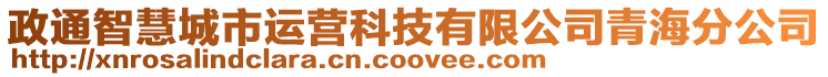 政通智慧城市運營科技有限公司青海分公司