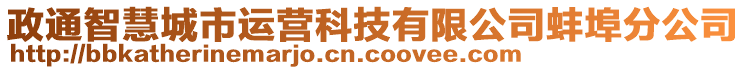 政通智慧城市運營科技有限公司蚌埠分公司