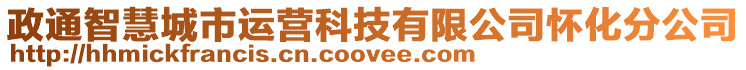 政通智慧城市運營科技有限公司懷化分公司