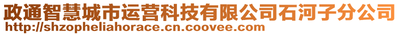 政通智慧城市運營科技有限公司石河子分公司