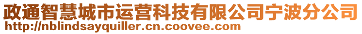 政通智慧城市運營科技有限公司寧波分公司