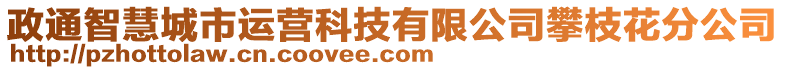 政通智慧城市運(yùn)營(yíng)科技有限公司攀枝花分公司