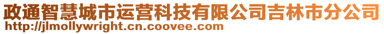 政通智慧城市運(yùn)營(yíng)科技有限公司吉林市分公司