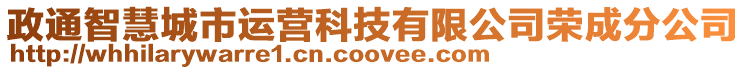 政通智慧城市運營科技有限公司榮成分公司