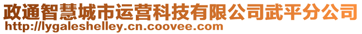 政通智慧城市運營科技有限公司武平分公司