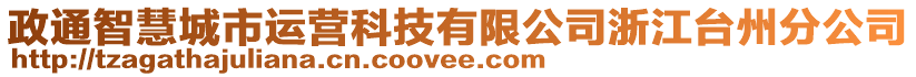 政通智慧城市運營科技有限公司浙江臺州分公司