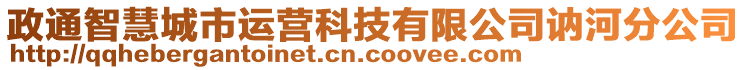 政通智慧城市運(yùn)營(yíng)科技有限公司訥河分公司