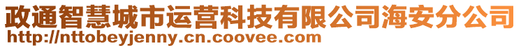 政通智慧城市運營科技有限公司海安分公司