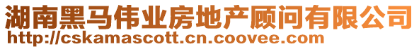 湖南黑馬偉業(yè)房地產(chǎn)顧問有限公司