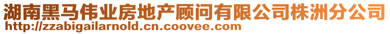 湖南黑馬偉業房地產顧問有限公司株洲分公司