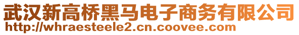 武漢新高橋黑馬電子商務有限公司