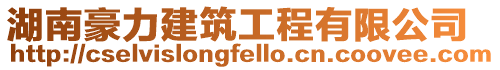 湖南豪力建筑工程有限公司