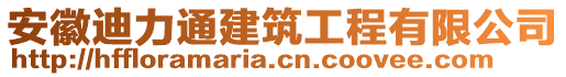 安徽迪力通建筑工程有限公司