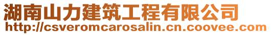湖南山力建筑工程有限公司