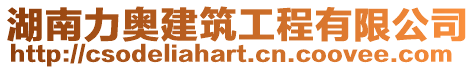 湖南力奧建筑工程有限公司