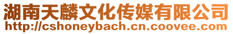 湖南天麟文化傳媒有限公司