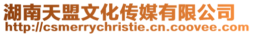 湖南天盟文化傳媒有限公司