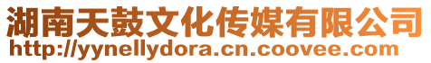 湖南天鼓文化傳媒有限公司