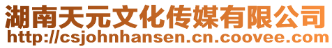 湖南天元文化傳媒有限公司