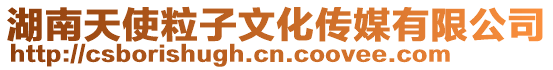 湖南天使粒子文化傳媒有限公司