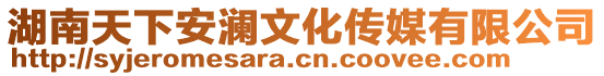 湖南天下安瀾文化傳媒有限公司