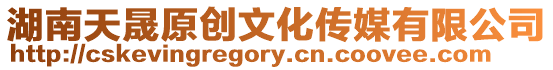 湖南天晟原創文化傳媒有限公司