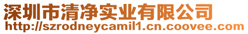 深圳市清凈實業有限公司