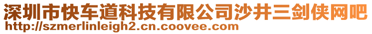 深圳市快車道科技有限公司沙井三劍俠網吧