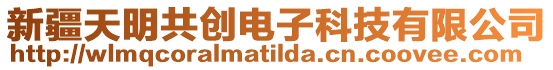 新疆天明共創電子科技有限公司