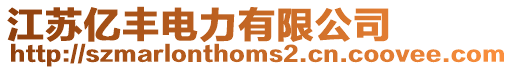 江蘇億豐電力有限公司