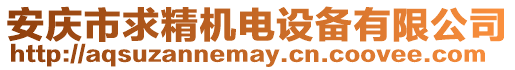 安慶市求精機電設備有限公司