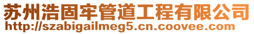 蘇州浩固牢管道工程有限公司
