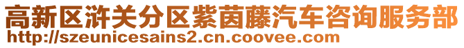 高新區滸關分區紫茵藤汽車咨詢服務部