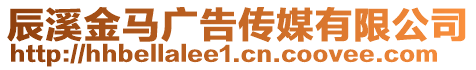 辰溪金馬廣告傳媒有限公司